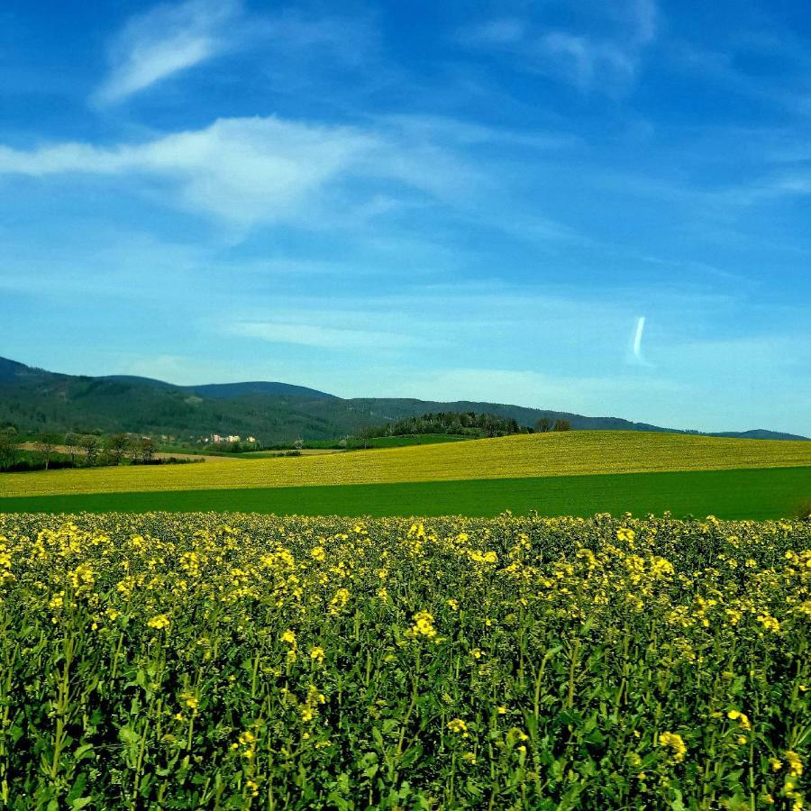 Agroturystyka Sielska Kraina Zabkowice Slaskie Buitenkant foto