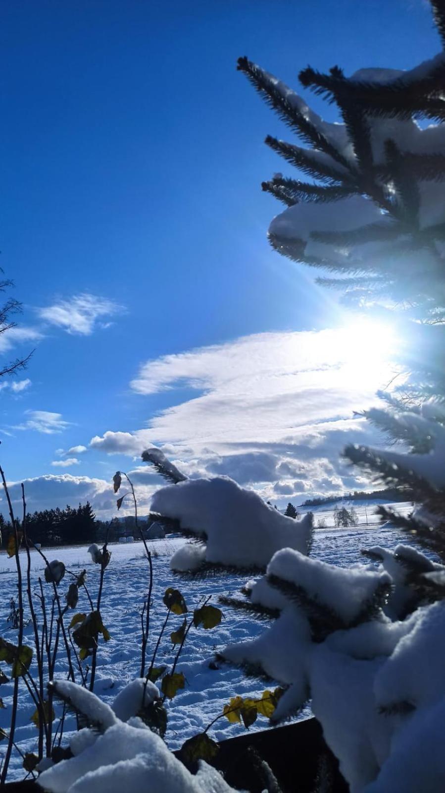 Agroturystyka Sielska Kraina Zabkowice Slaskie Buitenkant foto